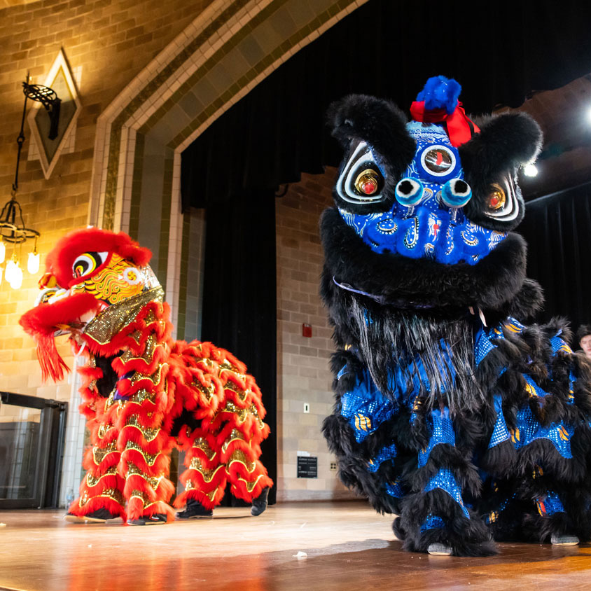 chinese dragon dancers performing