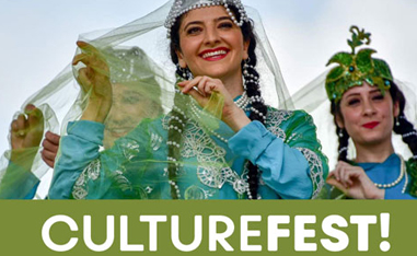 women dressed in green garb for nowruz