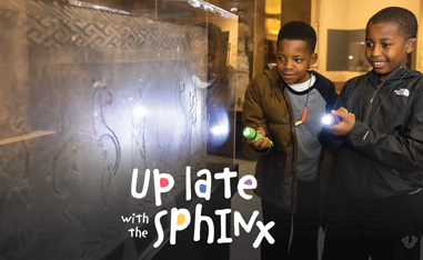 two african-amaerican boys exploring a museum