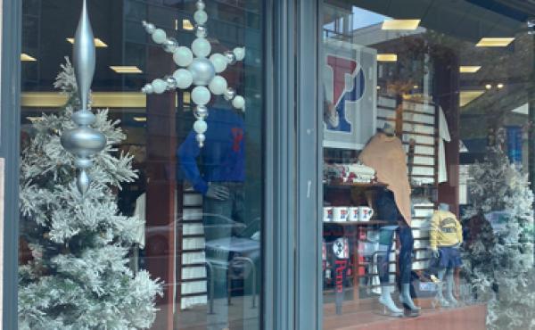 window display decorated with ornaments and trees