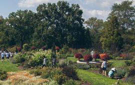 People enjoying the gardens at Morris Arboretum.